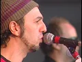 Show Zeca Baleiro - Lenha (Ao Vivo)