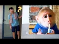 Download Lagu Monkey Bibi Goes Missing – Dad Frantically Searches in an Emotional Rescue