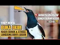 Download Lagu 🛑LIVE🎥KACER GACOR KONSLET NGEPLONG🛑 #kacergacor #kacerjuara #kacerbongkarisian