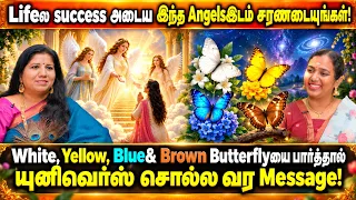 🦋 Life-ல் Success அடைய இந்த Angels-ஐ சரணடையுங்கள்! 😇 | Butterflies சொல்லும் Universe Message! ✨