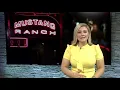 Nevada sex workers struggling with brothels closed