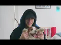 Download Lagu (ENG SUB) Chan's Room🐺 Ep. 172 - Home