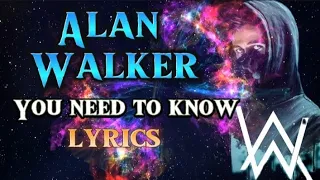 Alan Walker You Need To Know Lyrics 