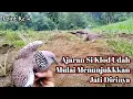 Download Lagu Walaupun Di persembunyian Joki Sempat Dag Dig Dug || Permainan Si Klod Makin Menjanjikan 🔥🔥🔥