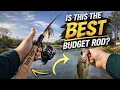 Ugly Stik Lite Pro - Best Budget Rod Quick Rod Review