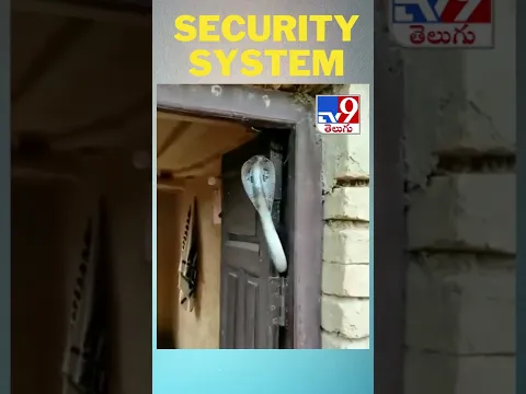 Download MP3 Security system 🤣 - @TV9TeluguLive