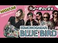 Download Lagu Kolaborasi J-Rocks × MASAFUMI! Nyanyikan “Blue Bird” di Sakura Matsuri 2024