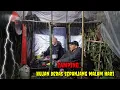 Download Lagu CAMPING BERSAMA ISTRI-DI HANTAM HUJAN DERAS MALAM HARI-ASMR RAIN