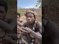 Lagu - Berburu Burung Langka: Kehidupan Suku Hadzabe di Hutan Afrika