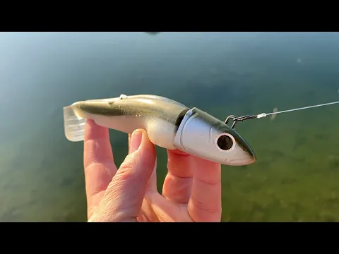 Download MP3 simple way to rig Fiiish Black minnow