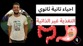 التغذية غير ذاتية الجهاز الهضمي في الانسان ترم اول أحياء تانية ثانوي 2024 