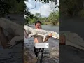 Download Lagu BUAYA PUTIH DIMASAK APA ENGGAK!??