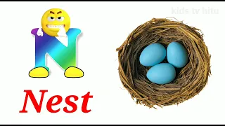                     دندنها