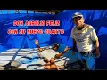 Download Lagu REFORZAMOS EL CUARTO DE DON AURELIO