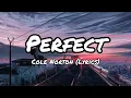 Download Lagu Perfect (Lyrics) - Cole Norton