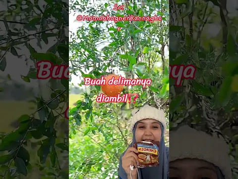 buah delimanya diambil⁉️ MamabhagnerRannaghor