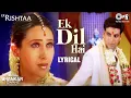 Download Lagu Tujhe Pyar Se Dekhne Wala Ek Dil Hai Jhankar Song | Kumar Sanu | Alka Yagnik | Akshay | Karishma