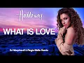 Haddaway - What Is Love (DJ MorpheuZ \u0026 @RegisMello Remix)