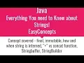How is String interned in Java String Immutability and much more on string
