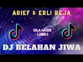 Download Lagu DJ BELAHAN JIWA ARIEF REMIX VIRAL TIKTOK ERLI REJA