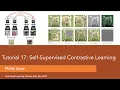 Tutorial 17 Self Supervised Contrastive Learning with SimCLR Part 2