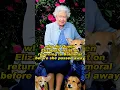 Download Lagu why did Queen Elizabeth insist on returning to Balmoral before she passed away #Queen #royal