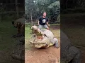 Download Lagu Henry the Nile crocodile #viral #shorts