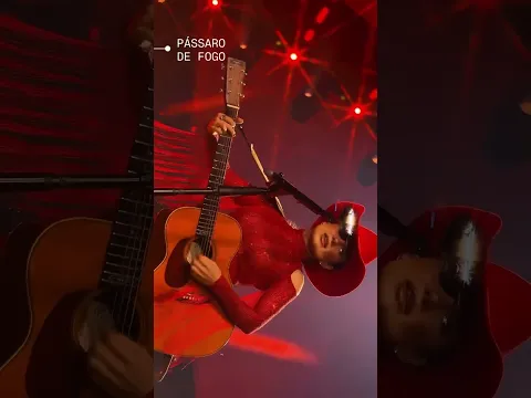 Pássaro de Fogo