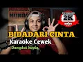 Download Lagu Bidadari cinta - karaoke tanpa vokal cewek dangdut koplo