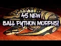 45 New ball python morphs you ve never seen