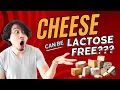 What Cheeses Are Lactose Free Guide For Lactose Intolerant Cheese Lovers