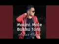 Download Lagu Mauni Mole Bukku Toni