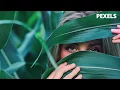30 Best Stock Photos - PEXELS