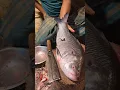 Amazing Catla Carp Fish Cutting Skills In Bangladesh Local Fish Market#48shorts