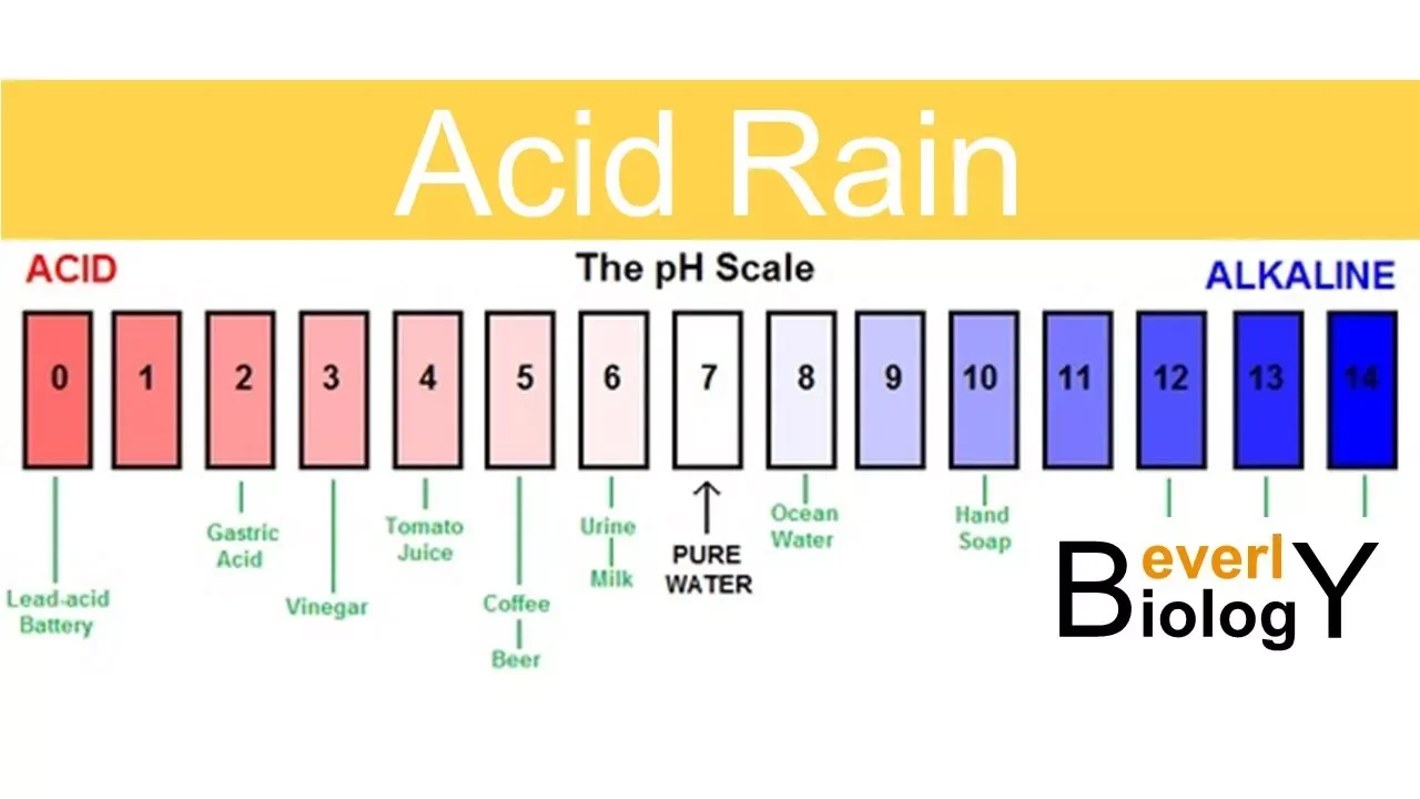 Acid Rain
