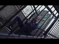 AJ x Deno ft EO - London [Music Video] | Edit
