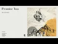 Ben Böhmer - Promise You