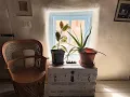 Taos Real Estate Homes Properties for sale 108 La Loma Plaza Taos NM 87571