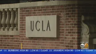 UCLA Reportedly Investigating Several Zoom-Bombing Incidents