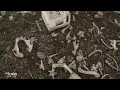 Caught on Camera TxDOT dumping roadkill waste and more