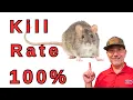 Download Lagu Most Effective Rat Control Method Nobody Talks About!