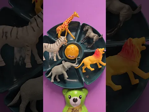 القكه المشمشيه حلوه بس مزكمه😅🤧😷🐱🐈‍⬛🦭🦣🦓 #اكسبلور #foryou