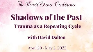 shadows of the past trauma as a repeating cycle with david dalton excerpt 