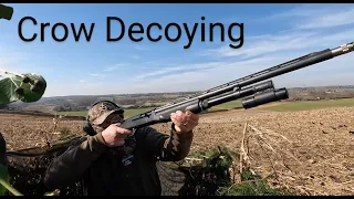 Crow & Pigeon Decoying | Benelli M1