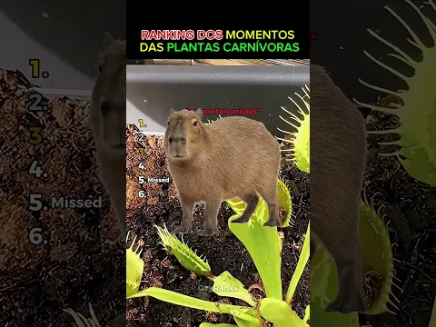 Ranking dos momentos das plantas carnívoras!😱🌱
