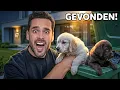 Lagu PUPPY GEVONDEN BIJ ONS HUIS! *Wie is het baasje?*