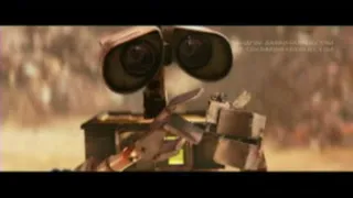 Amin Habibi Fadaye To Chesham 