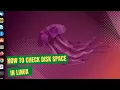 How to Check the Disk Space in Linux Linux DF and DU Commands