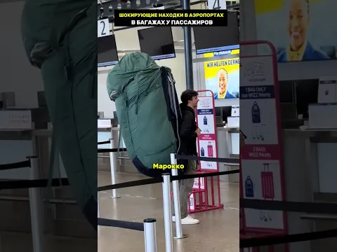 Безумные находки в аэропортах в багаж у пассажиров