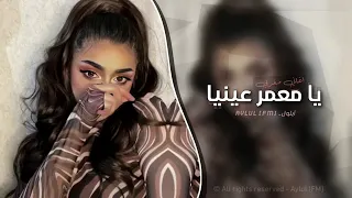 اغنية يا معمر عينيا 2025 ايلول الخليج  اغنية يا معمر عينيا 2025 ايلول الخليج